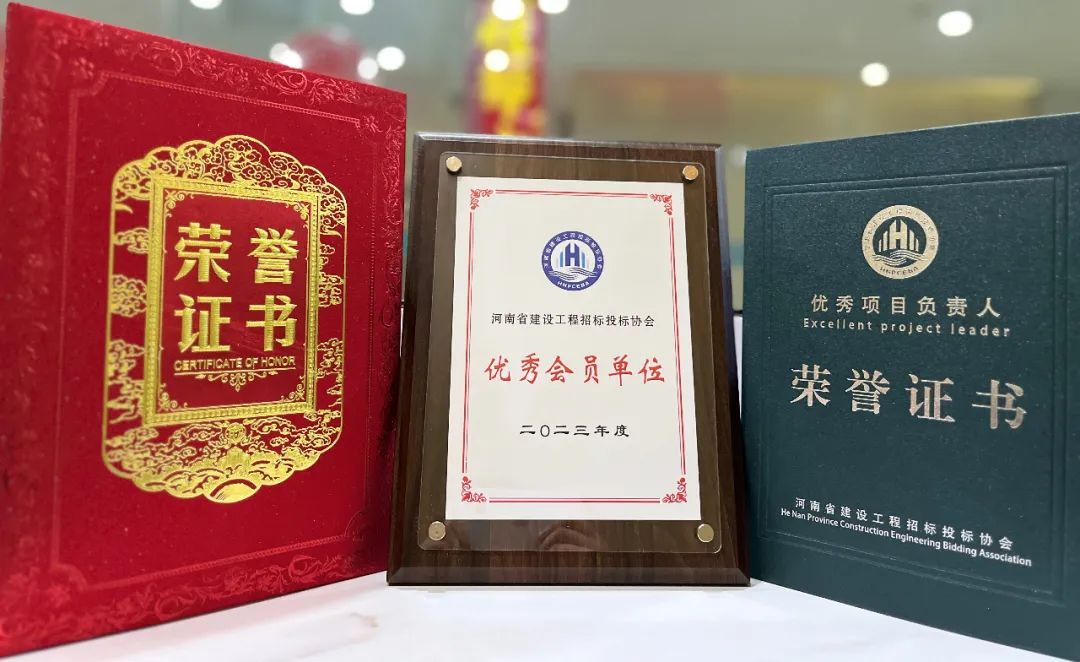 喜報(bào)丨飛洋咨詢榮獲“2023年度優(yōu)秀會(huì)員單位”、“2023年度優(yōu)秀項(xiàng)目負(fù)責(zé)人”等榮譽(yù)稱號(hào)